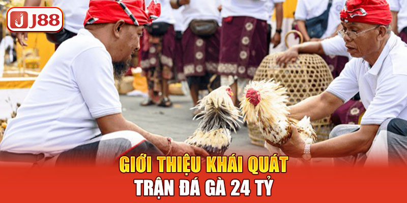 gioi-thieu-khai-quat-tran-da-ga-24-ty