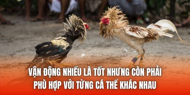 Vận động nhiều là tốt nhưng còn phải phù hợp với từng cá thể khác nhau